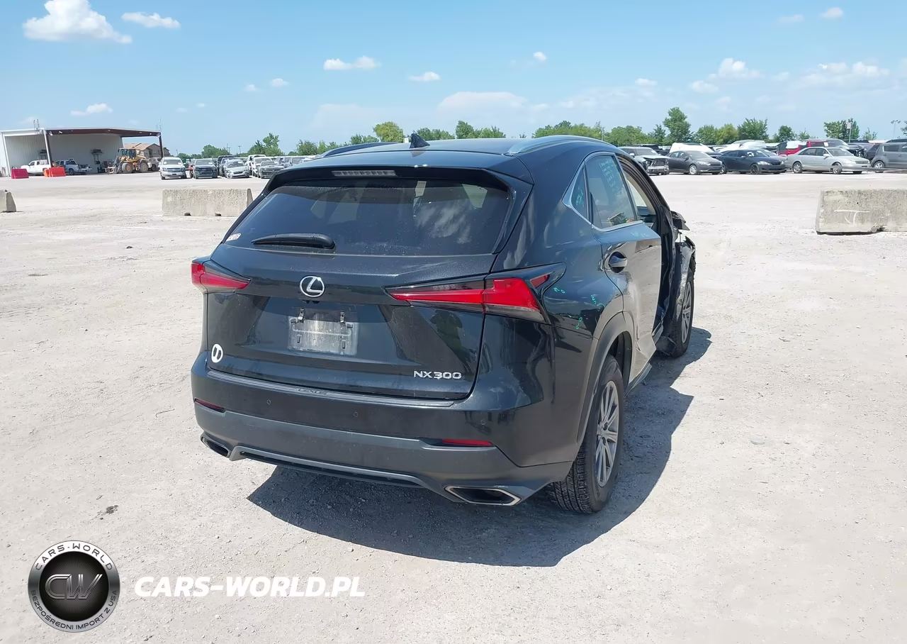2019 Lexus Nx 300 VIN:JTJYARBZXK2144093 - 4