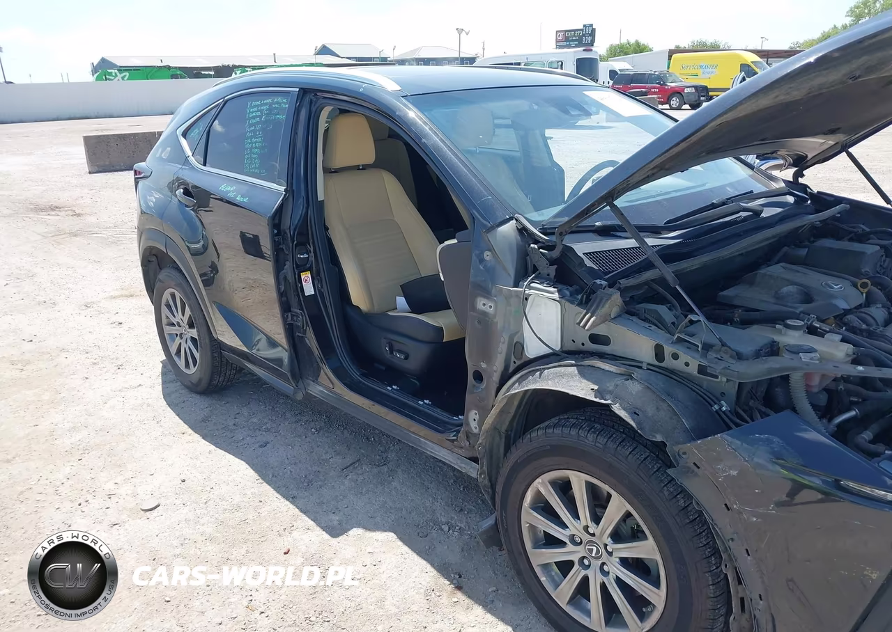 2019 Lexus Nx 300 VIN:JTJYARBZXK2144093 - 6