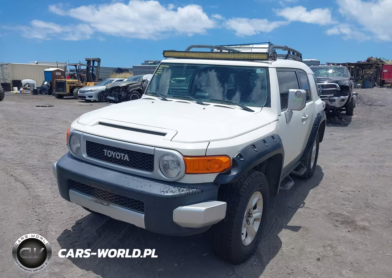 2012 Toyota Fj Cruiser VIN:JTEBU4BF4CK131491 - 12
