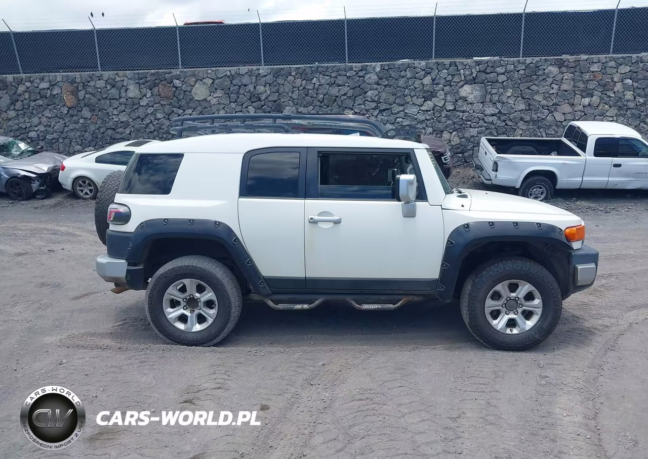 2012 Toyota Fj Cruiser VIN:JTEBU4BF4CK131491 - 17