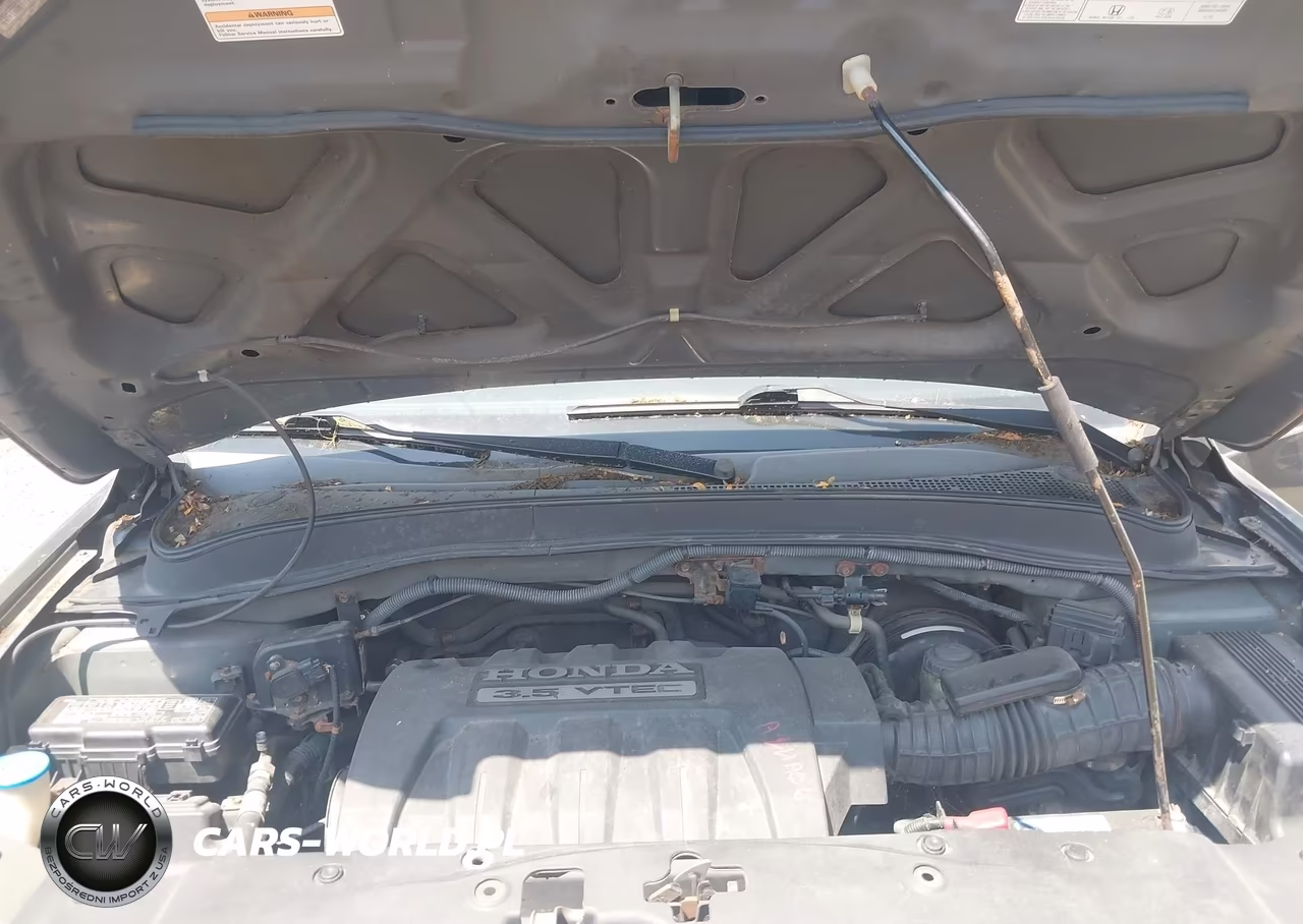 2008 Honda Pilot Se VIN:5FNYF18388B052527 - 10