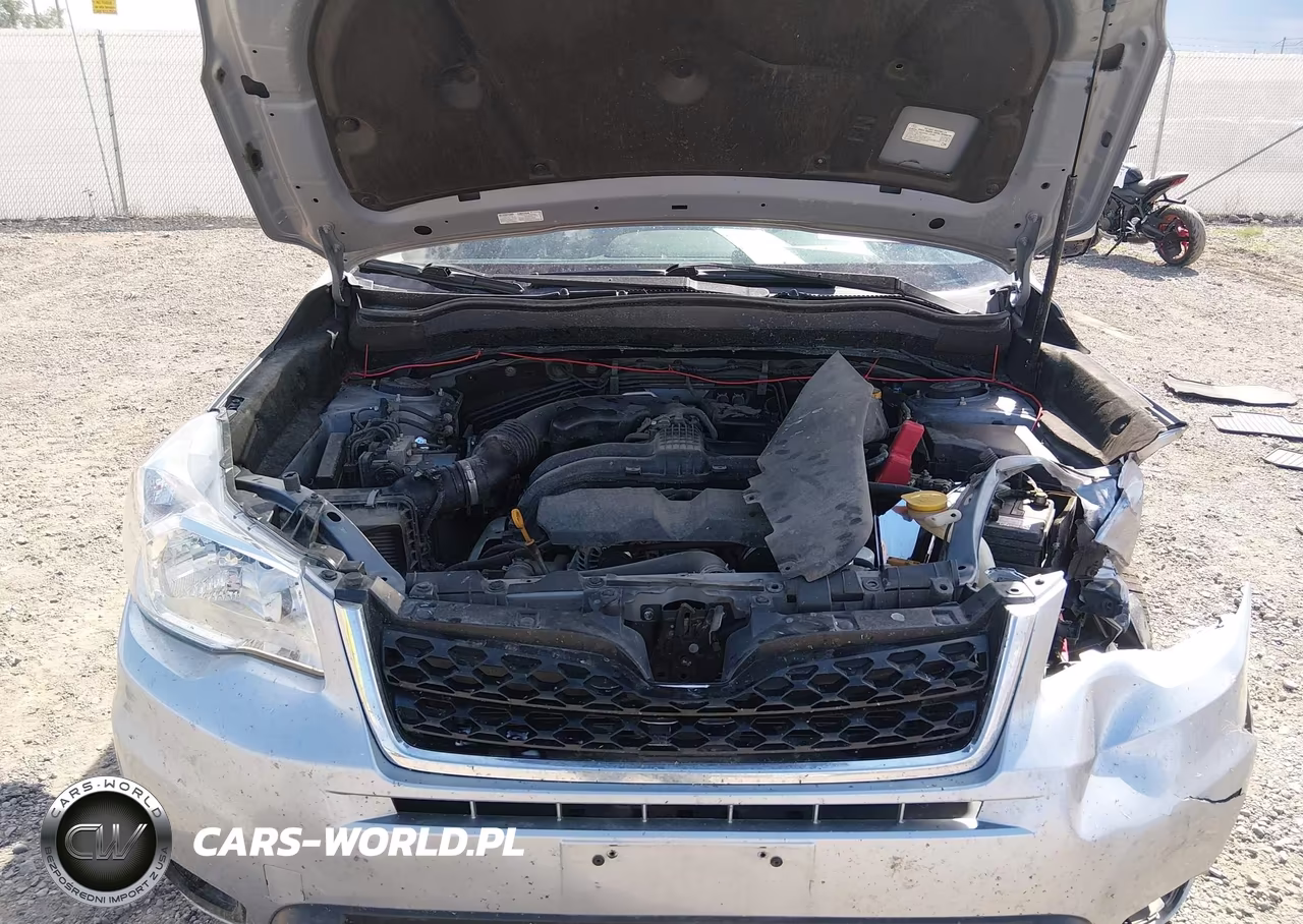 2016 Subaru Forester 2.5I Premium VIN:JF2SJAFC6GH410165 - 10