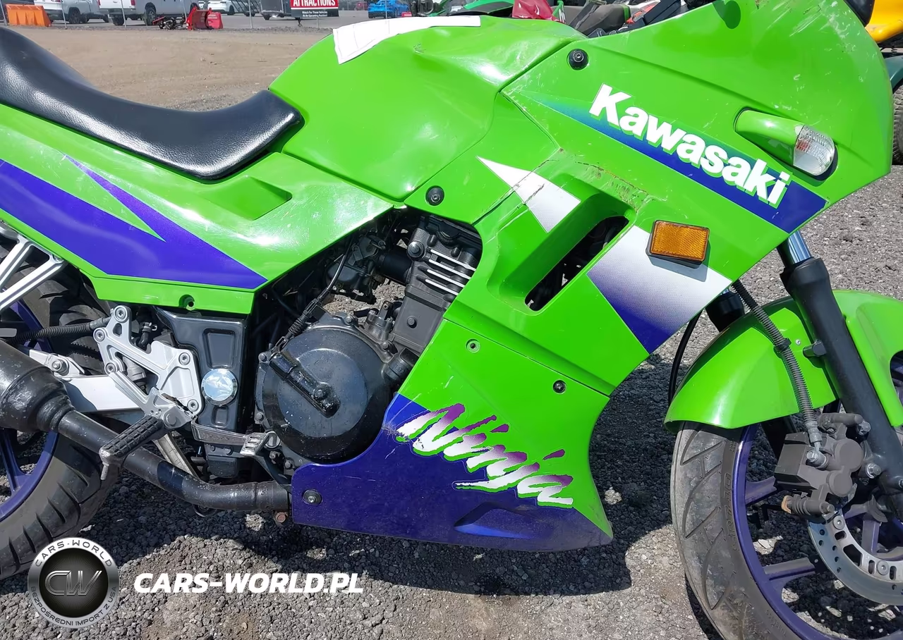2000 Kawasaki Ex250 F VIN:JKAEXMF17YA071706 - 8