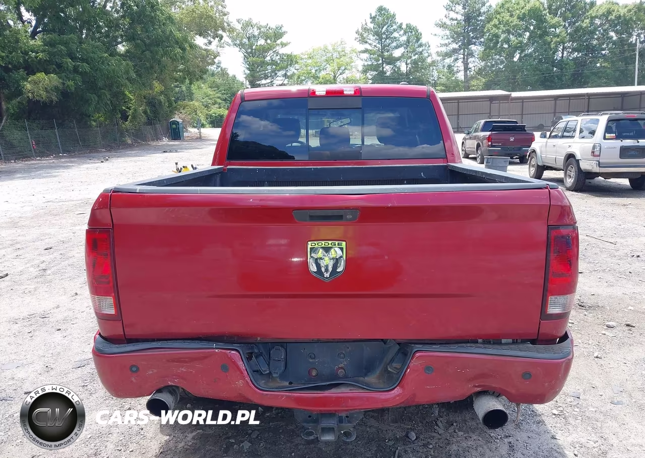 2010 Dodge Ram 1500 Slt-Sport-Trx VIN:1D7RB1CT2AS179716 - 16
