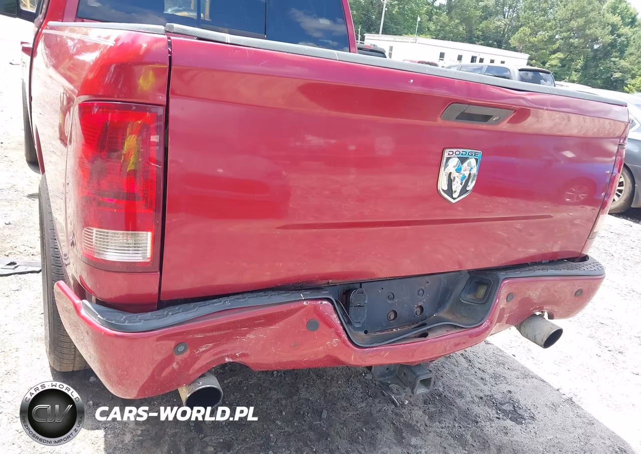 2010 Dodge Ram 1500 Slt-Sport-Trx VIN:1D7RB1CT2AS179716 - 6