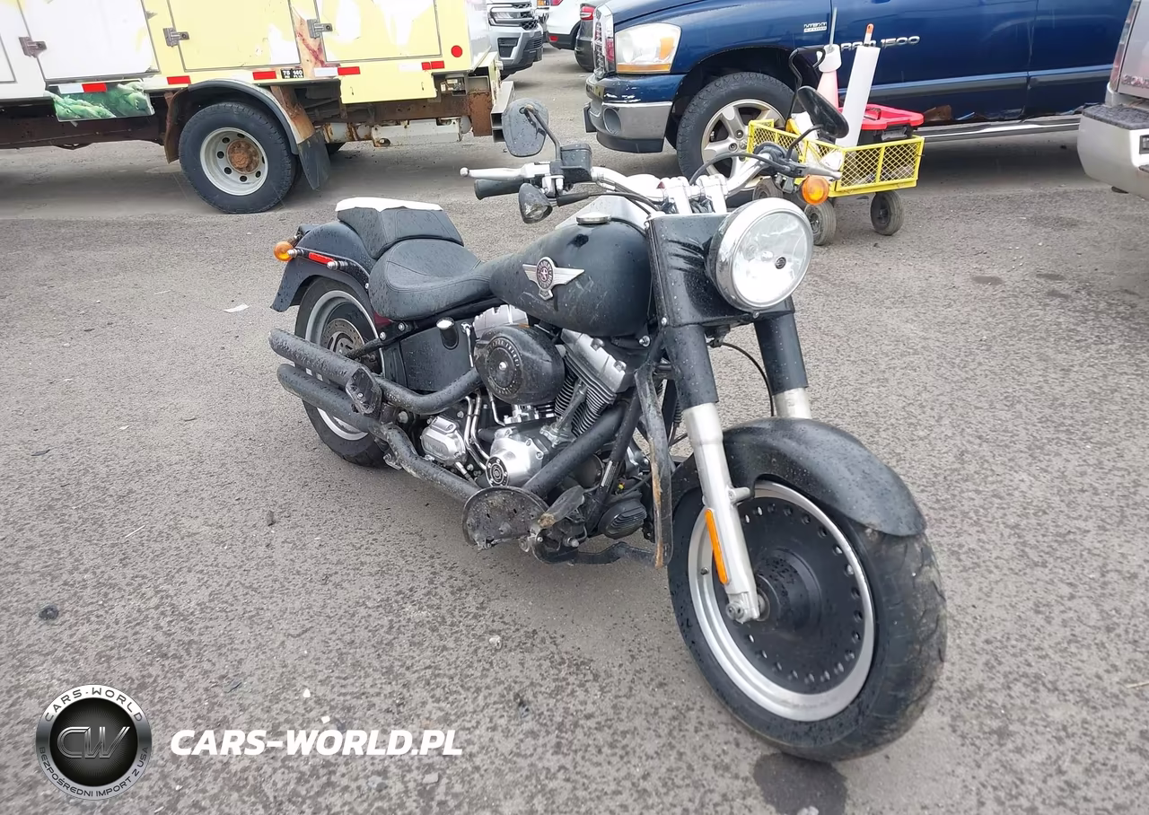 2010 Harley-Davidson Flstfb – zdjęcie 1 z 13