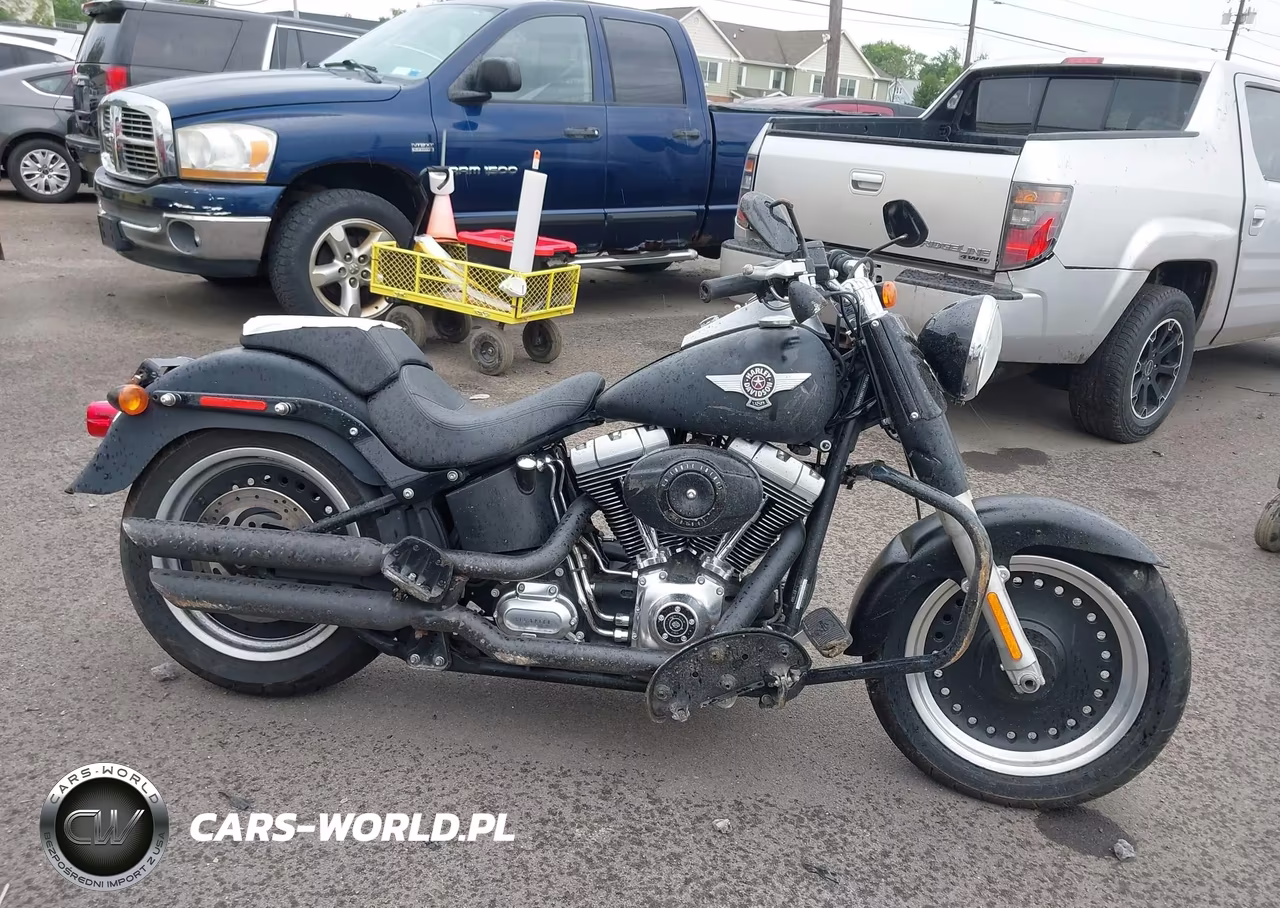2010 Harley-Davidson Flstfb VIN:1HD1JN511AB044643 - 12