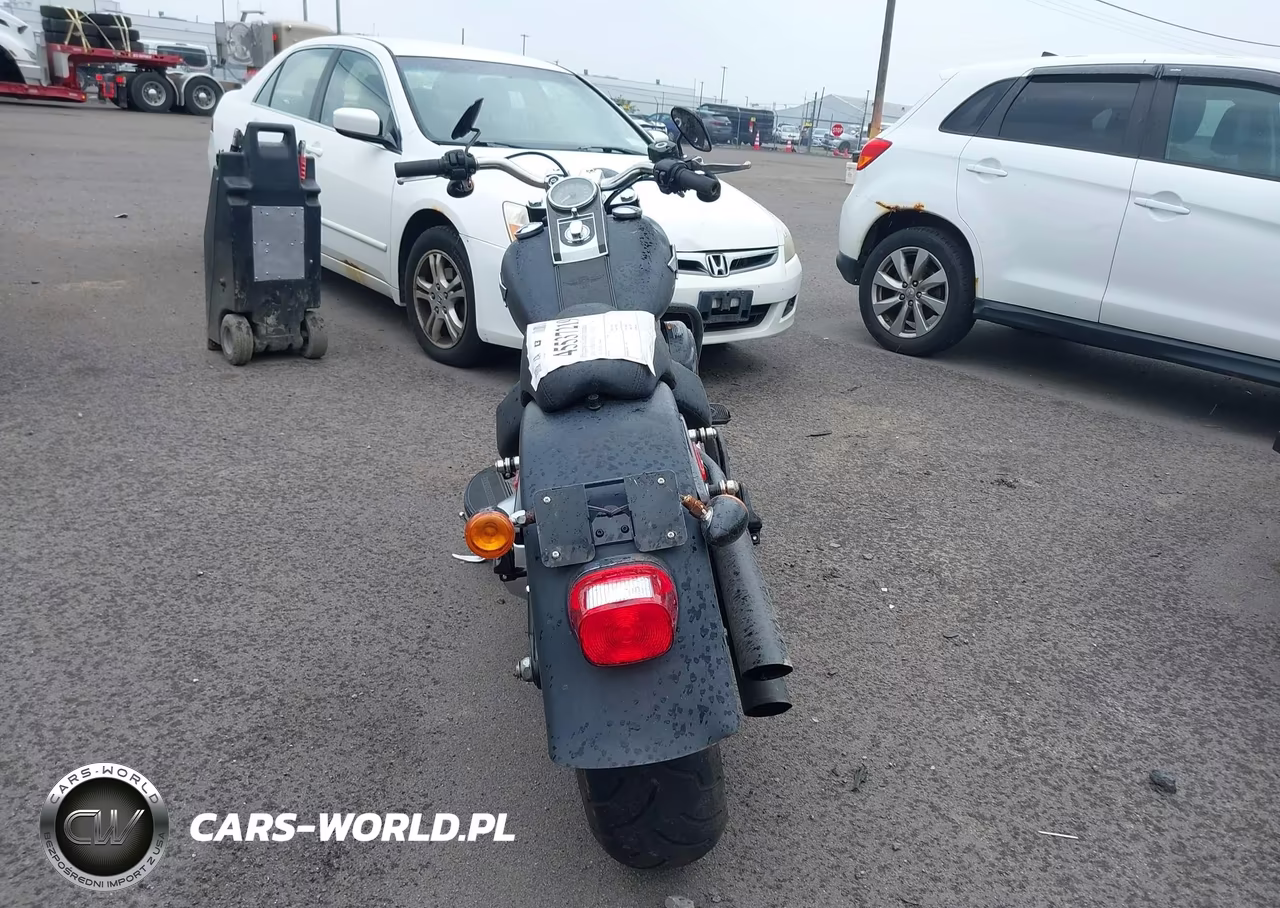 2010 Harley-Davidson Flstfb VIN:1HD1JN511AB044643 - 6