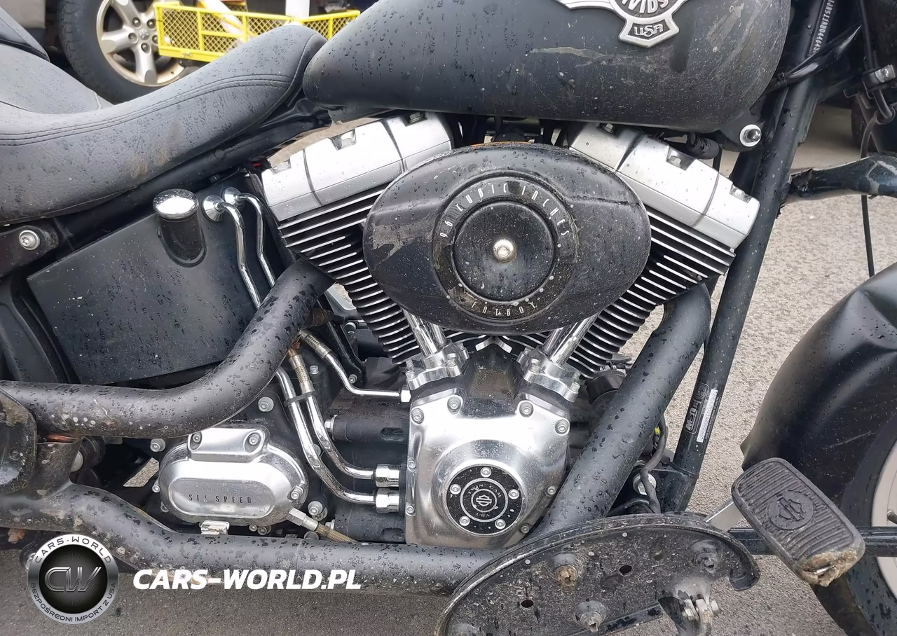 2010 Harley-Davidson Flstfb VIN:1HD1JN511AB044643 - 8