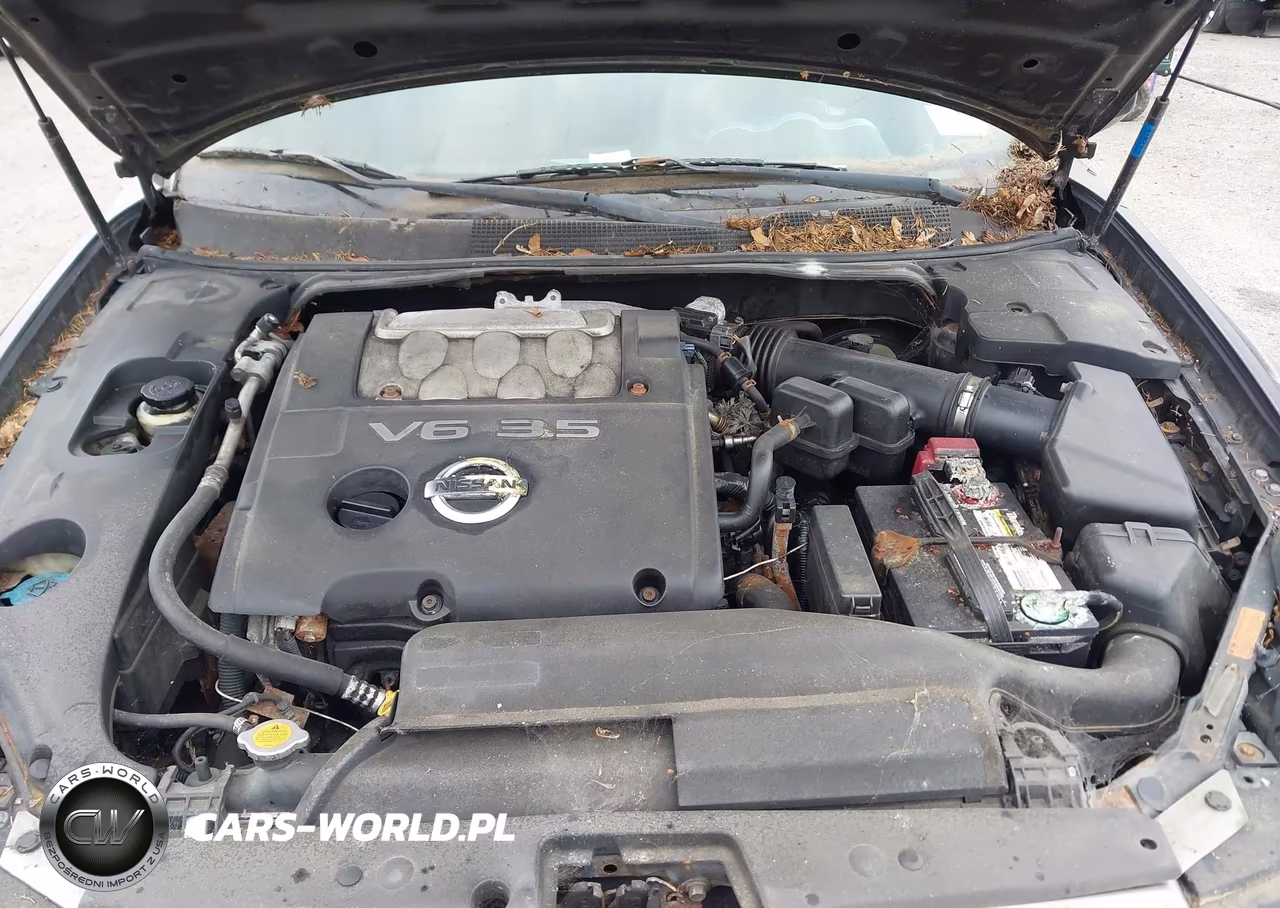 2004 Nissan Maxima 3.5 Sl VIN:1N4BA41E24C912789 - 10