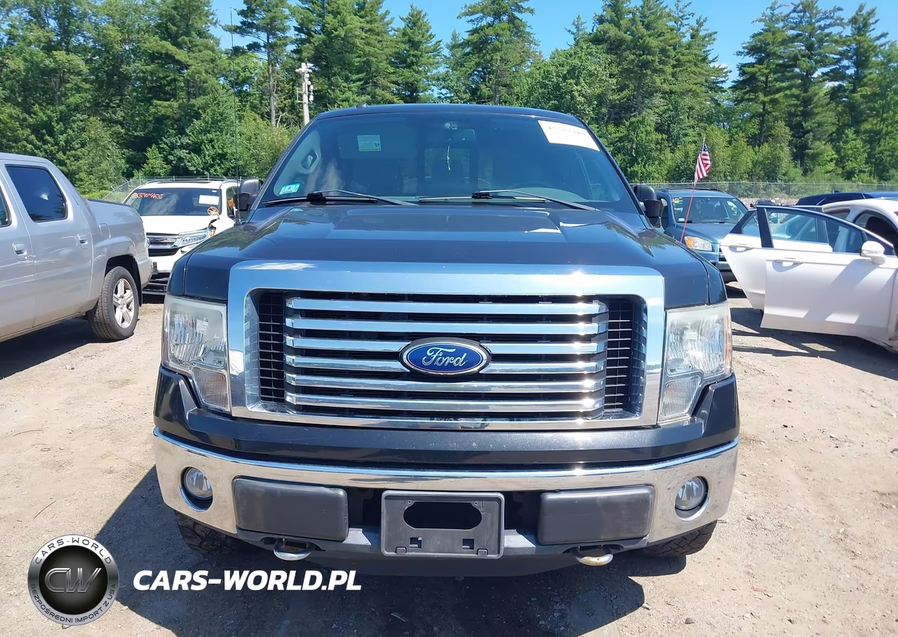 2011 Ford F-150 Fx4-Lariat-Stx-Xl-Xlt VIN:1FTFX1EF0BFB27999 - 12