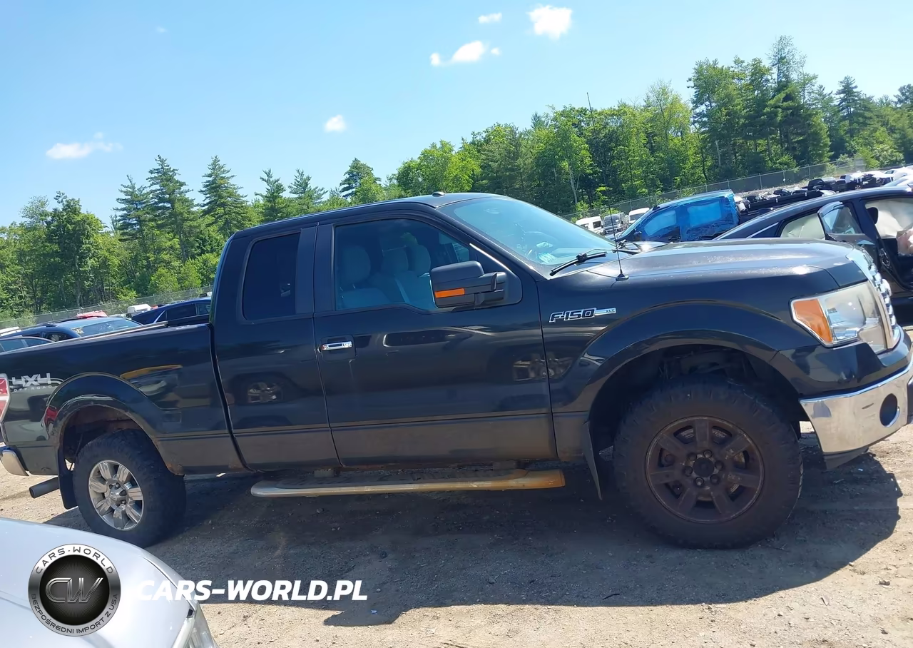 2011 Ford F-150 Fx4-Lariat-Stx-Xl-Xlt VIN:1FTFX1EF0BFB27999 - 13
