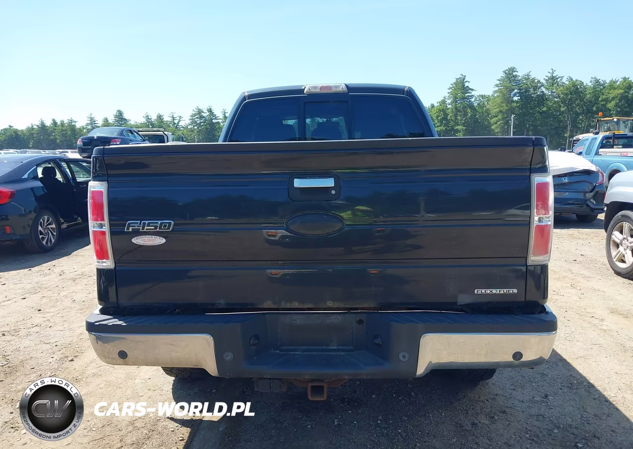 2011 Ford F-150 Fx4-Lariat-Stx-Xl-Xlt VIN:1FTFX1EF0BFB27999 - 16