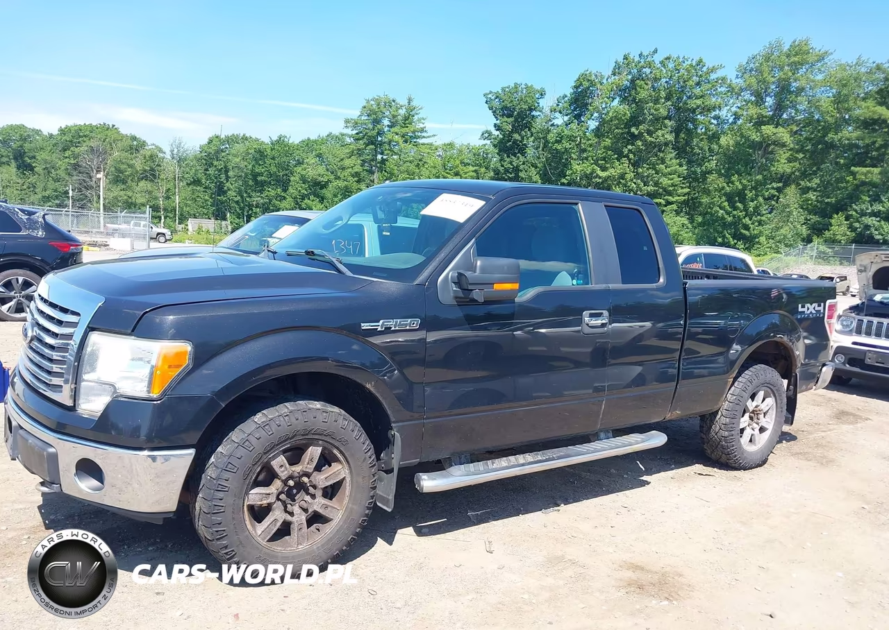 2011 Ford F-150 Fx4-Lariat-Stx-Xl-Xlt VIN:1FTFX1EF0BFB27999 - 17