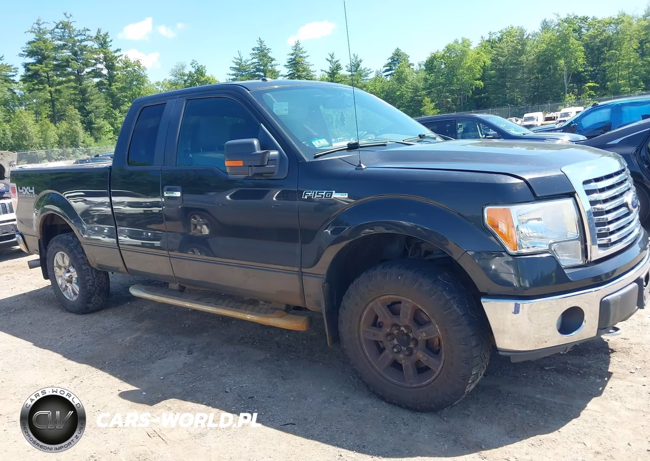 2011 Ford F-150 Fx4-Lariat-Stx-Xl-Xlt VIN:1FTFX1EF0BFB27999 - 18
