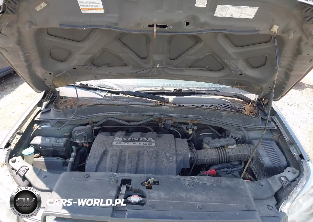 2008 Honda Pilot Se VIN:5FNYF183X8B045661 - 10
