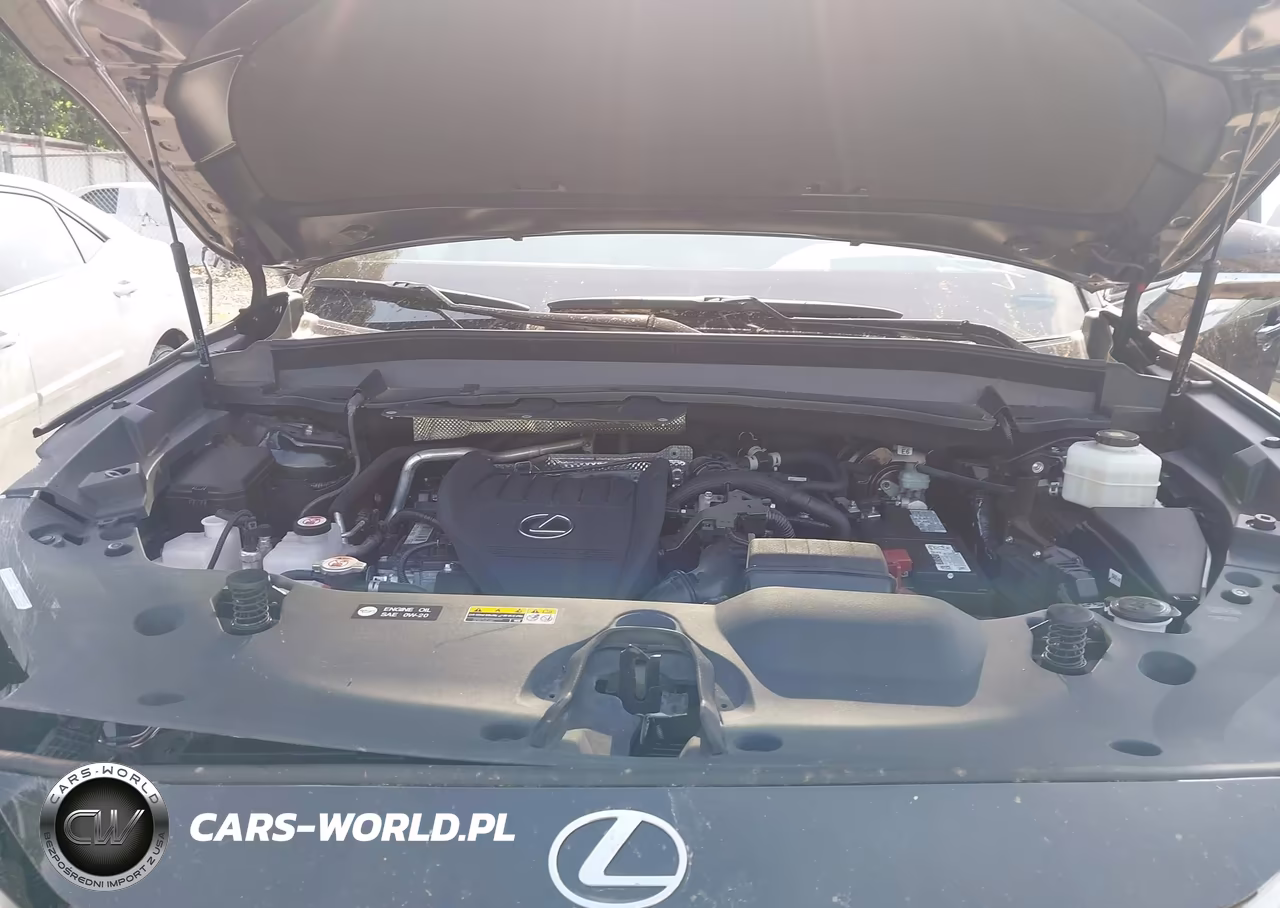 2024 Lexus Tx 350 Luxury VIN:5TDAAAA69RS007212 - 10