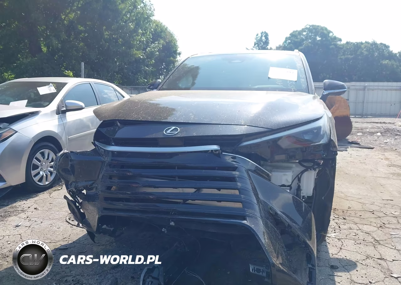 2024 Lexus Tx 350 Luxury VIN:5TDAAAA69RS007212 - 12