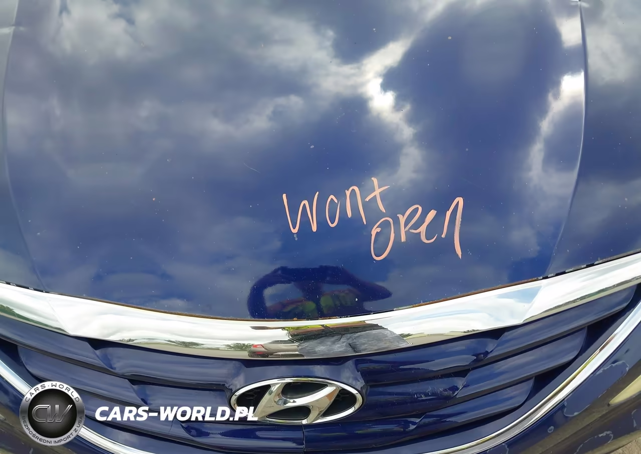 2012 Hyundai Sonata Gls VIN:5NPEB4ACXCH313273 - 10
