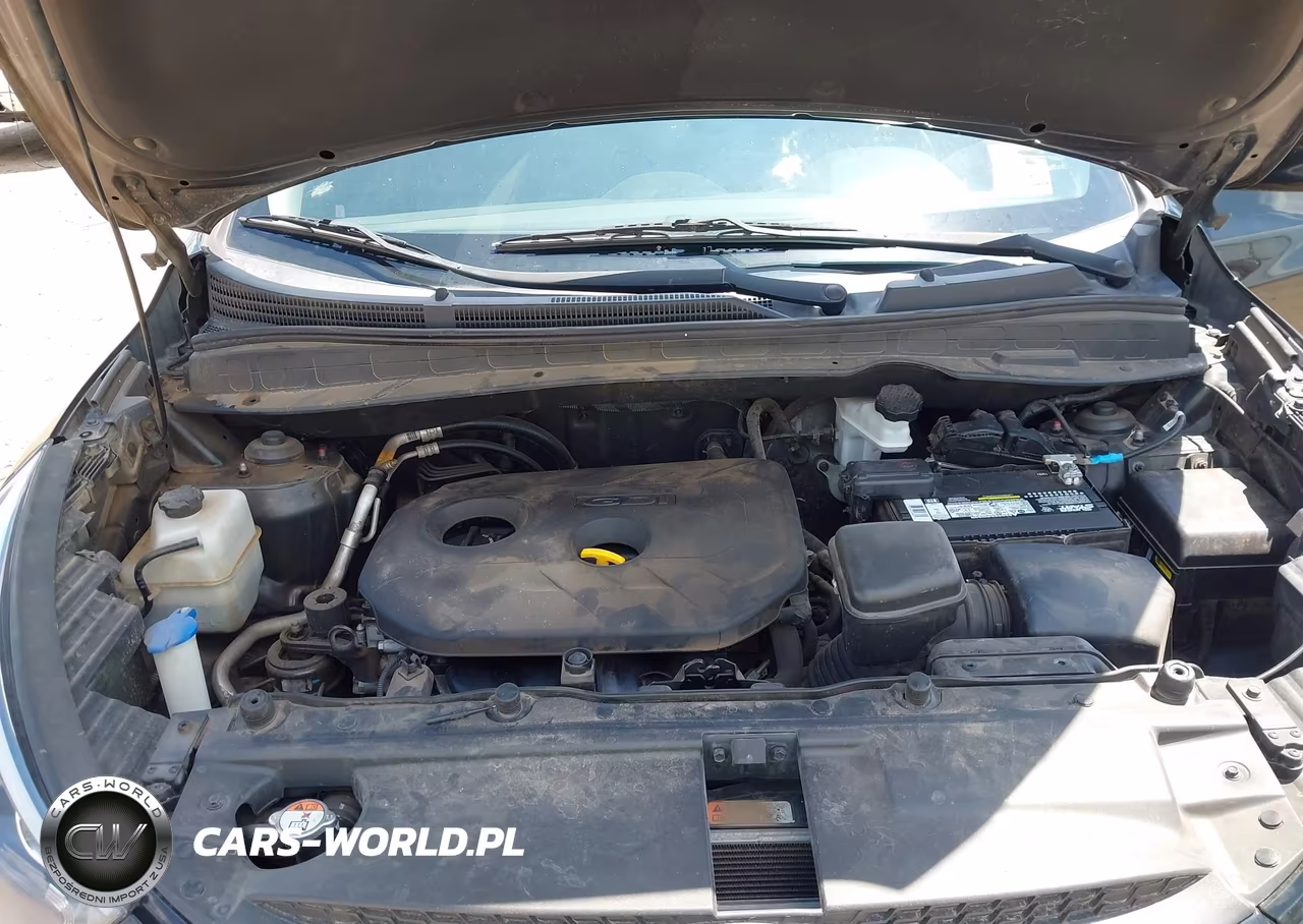 2015 Hyundai Tucson Gls VIN:KM8JTCAF4FU061591 - 10