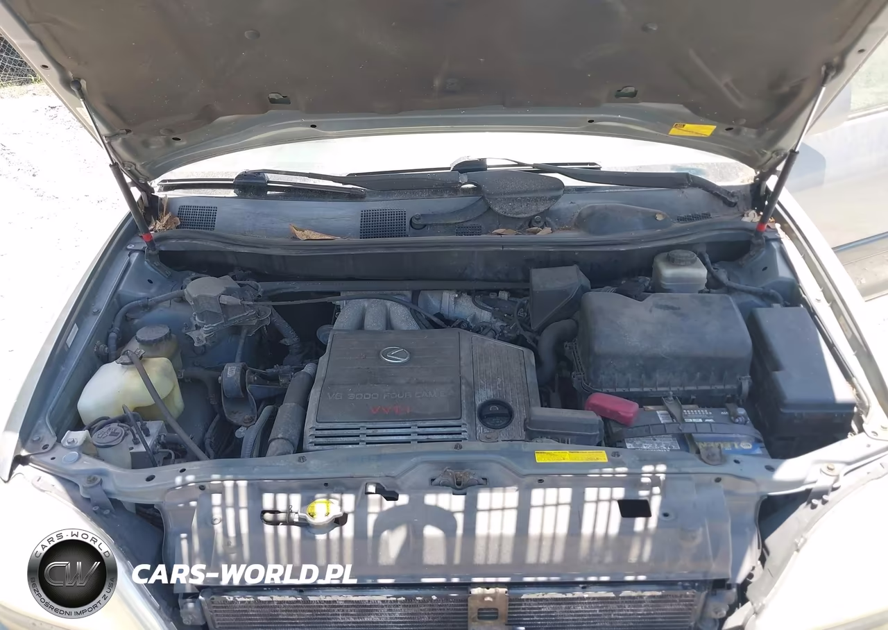 2001 Lexus Rx 300 VIN:JTJGF10U510115519 - 10