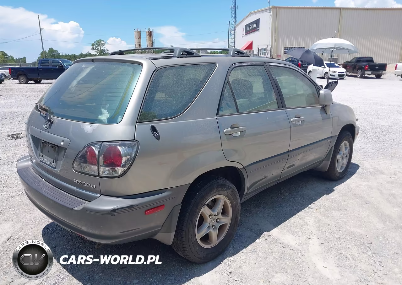 2001 Lexus Rx 300 VIN:JTJGF10U510115519 - 4