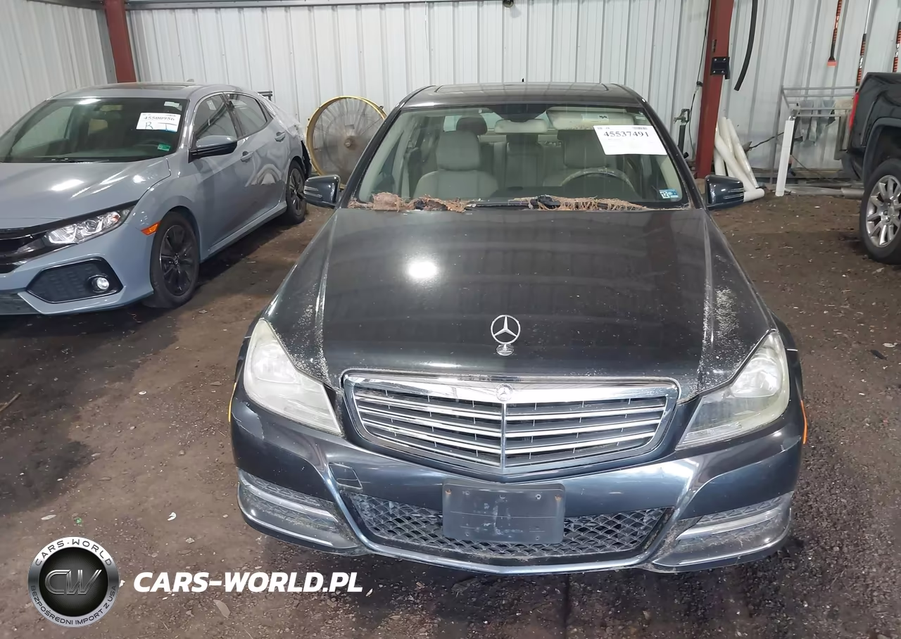 2013 Mercedes-Benz C 300 Luxury 4Matic VIN:WDDGF8ABXDR263289 - 12