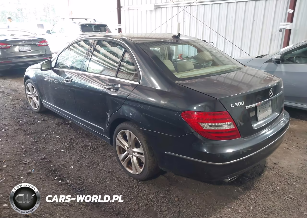 2013 Mercedes-Benz C 300 Luxury 4Matic VIN:WDDGF8ABXDR263289 - 3