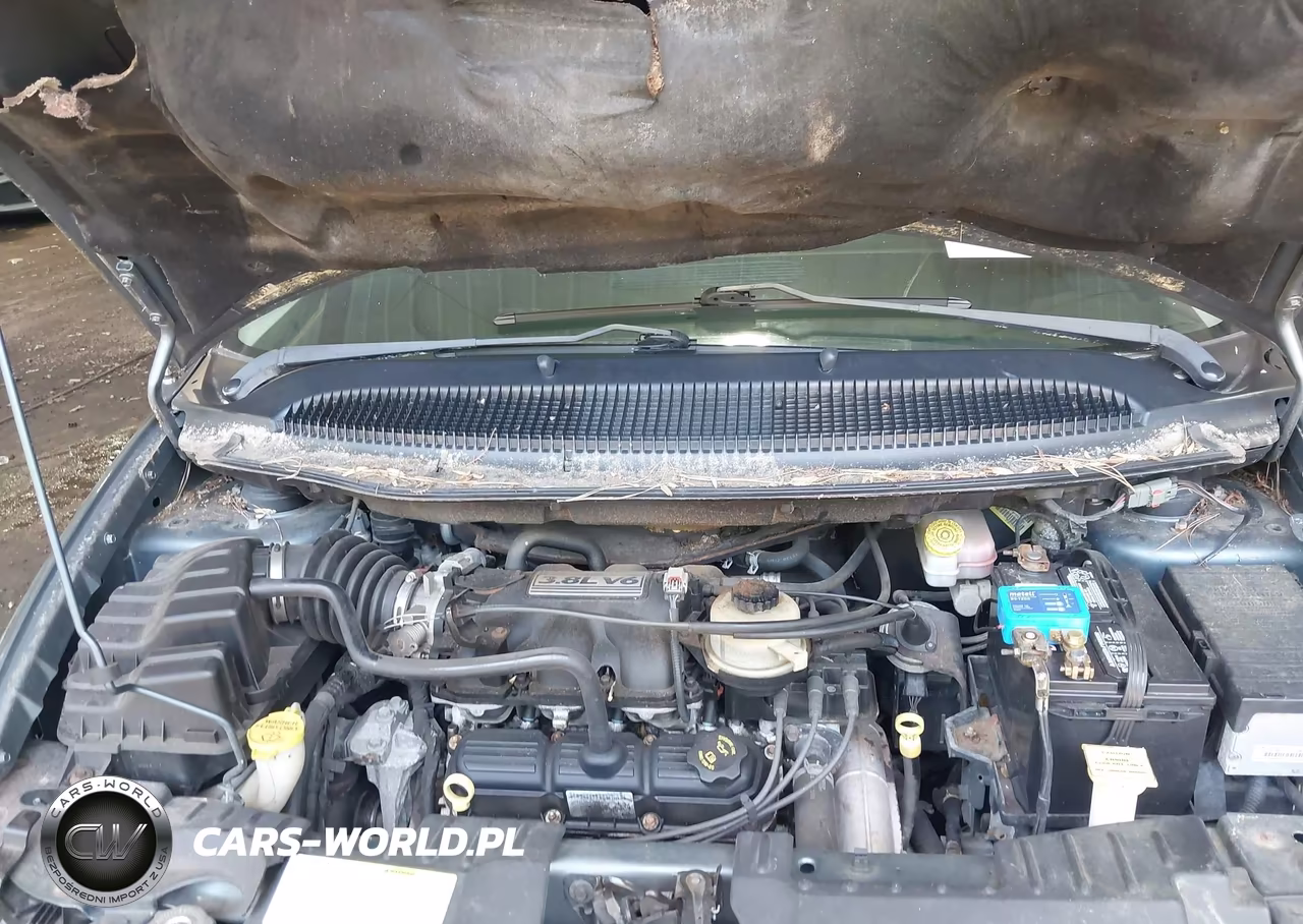 2005 Chrysler Town & Country Limited VIN:2C4GP64L15R233741 - 10