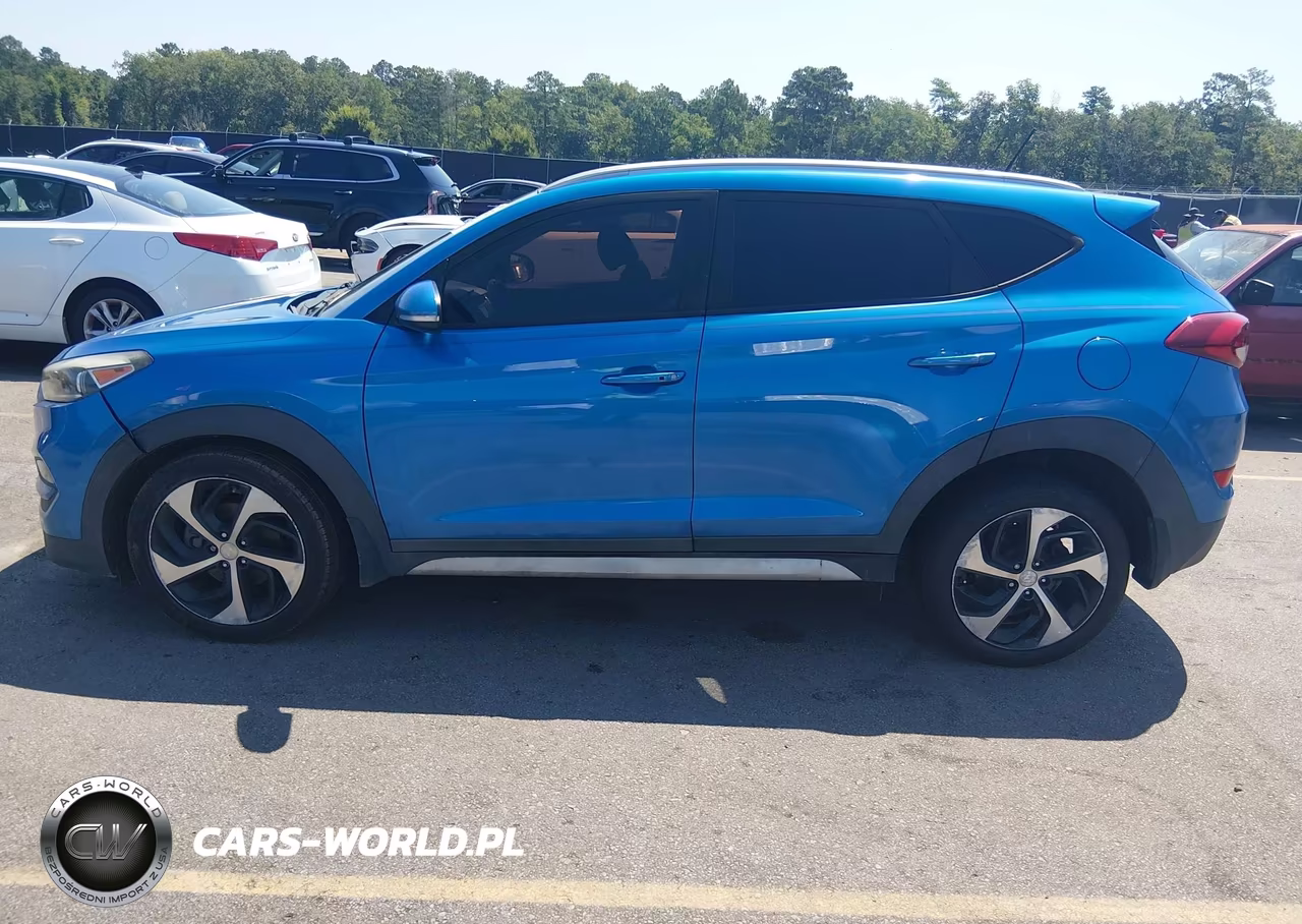 2017 Hyundai Tucson Sport VIN:KM8J33A28HU518726 - 14