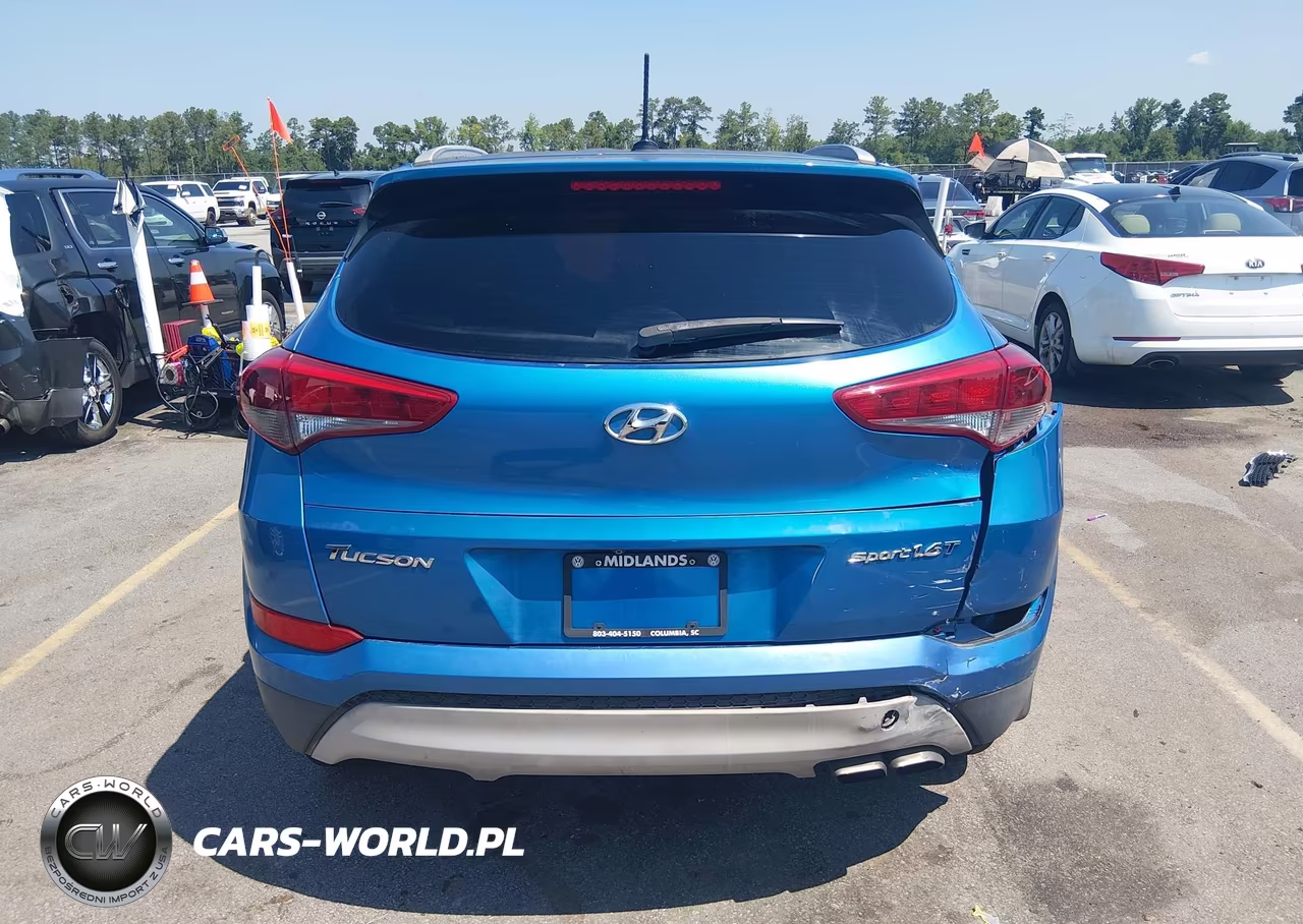 2017 Hyundai Tucson Sport VIN:KM8J33A28HU518726 - 16