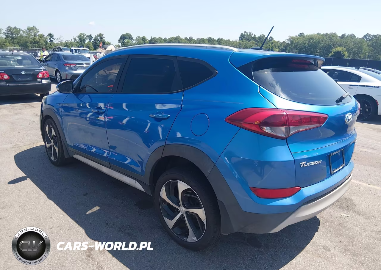 2017 Hyundai Tucson Sport VIN:KM8J33A28HU518726 - 3