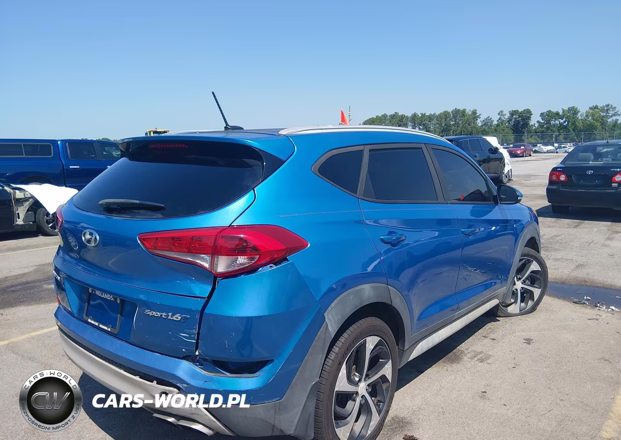2017 Hyundai Tucson Sport VIN:KM8J33A28HU518726 - 4