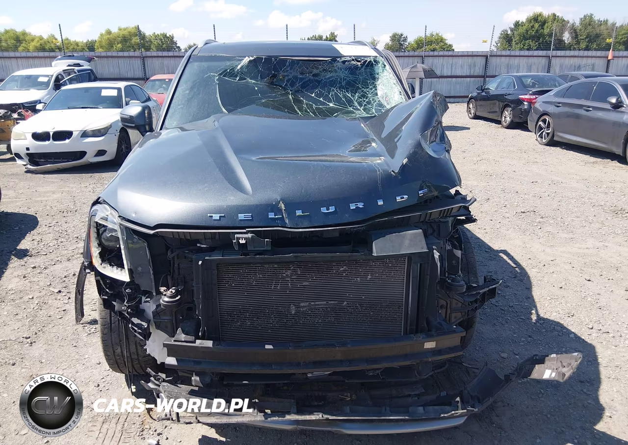 2020 Kia Telluride S VIN:5XYP64HC2LG036094 - 12