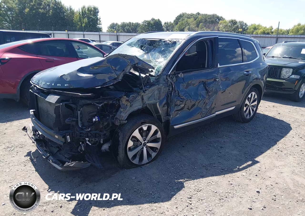 2020 Kia Telluride S VIN:5XYP64HC2LG036094 - 2