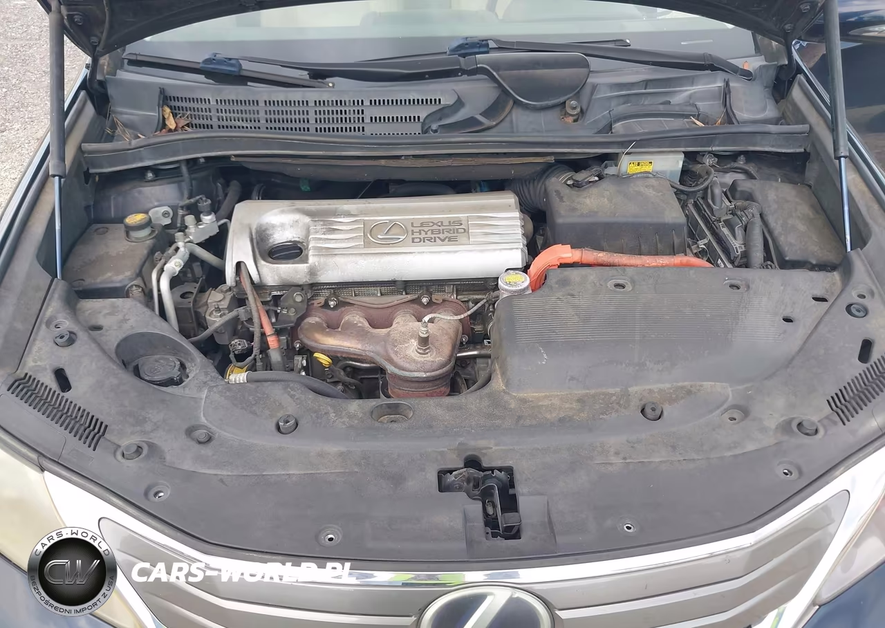 2010 Lexus Hs 250H Premium VIN:JTHBB1BA5A2022708 - 10