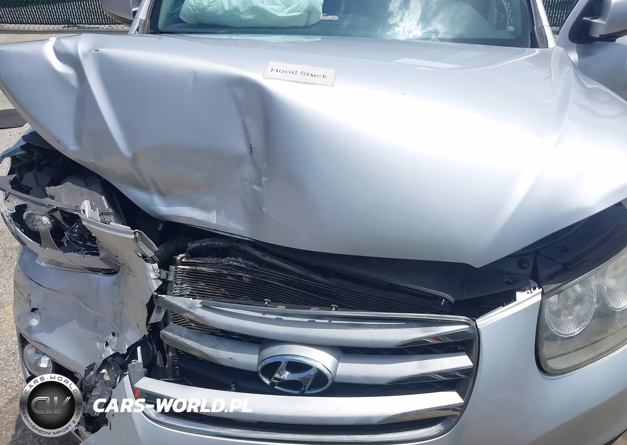 2012 Hyundai Santa Fe Se VIN:5XYZHDAG4CG108851 - 10