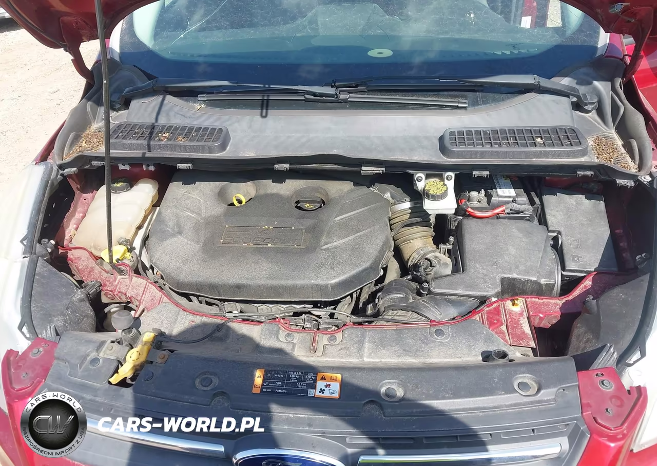 2014 Ford Escape Se VIN:1FMCU0G90EUC17307 - 10