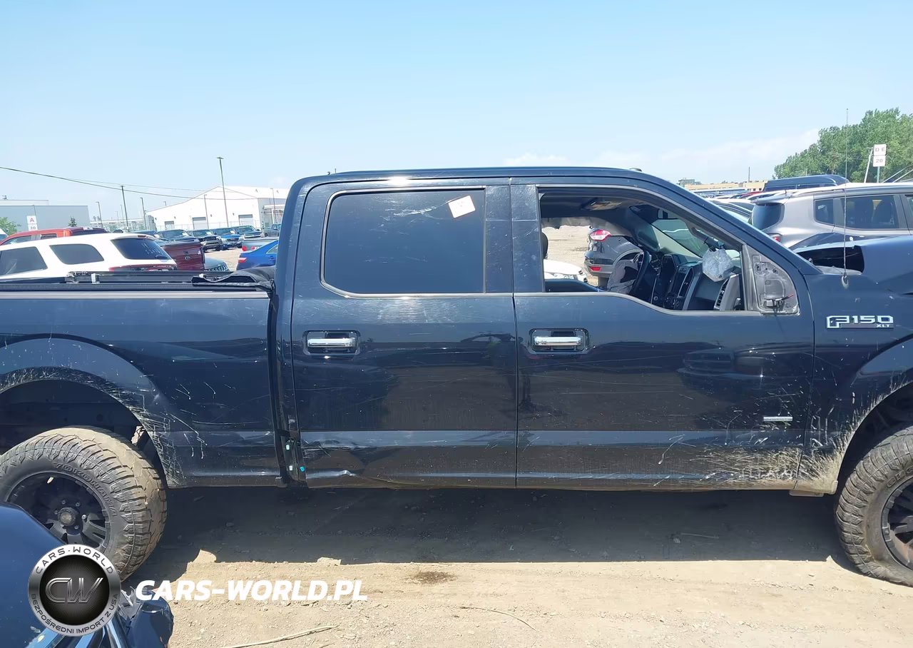 2017 Ford F-150 Xlt VIN:1FTFW1EG8HKE43355 - 13