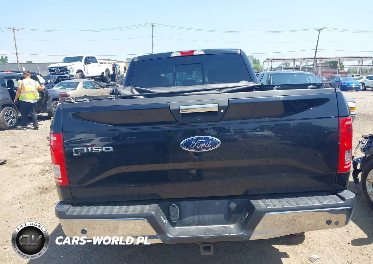 2017 Ford F-150 Xlt VIN:1FTFW1EG8HKE43355 - 16