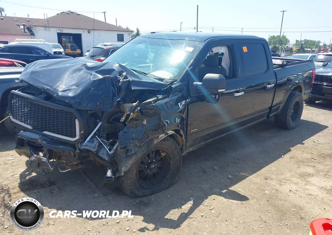 2017 Ford F-150 Xlt VIN:1FTFW1EG8HKE43355 - 2