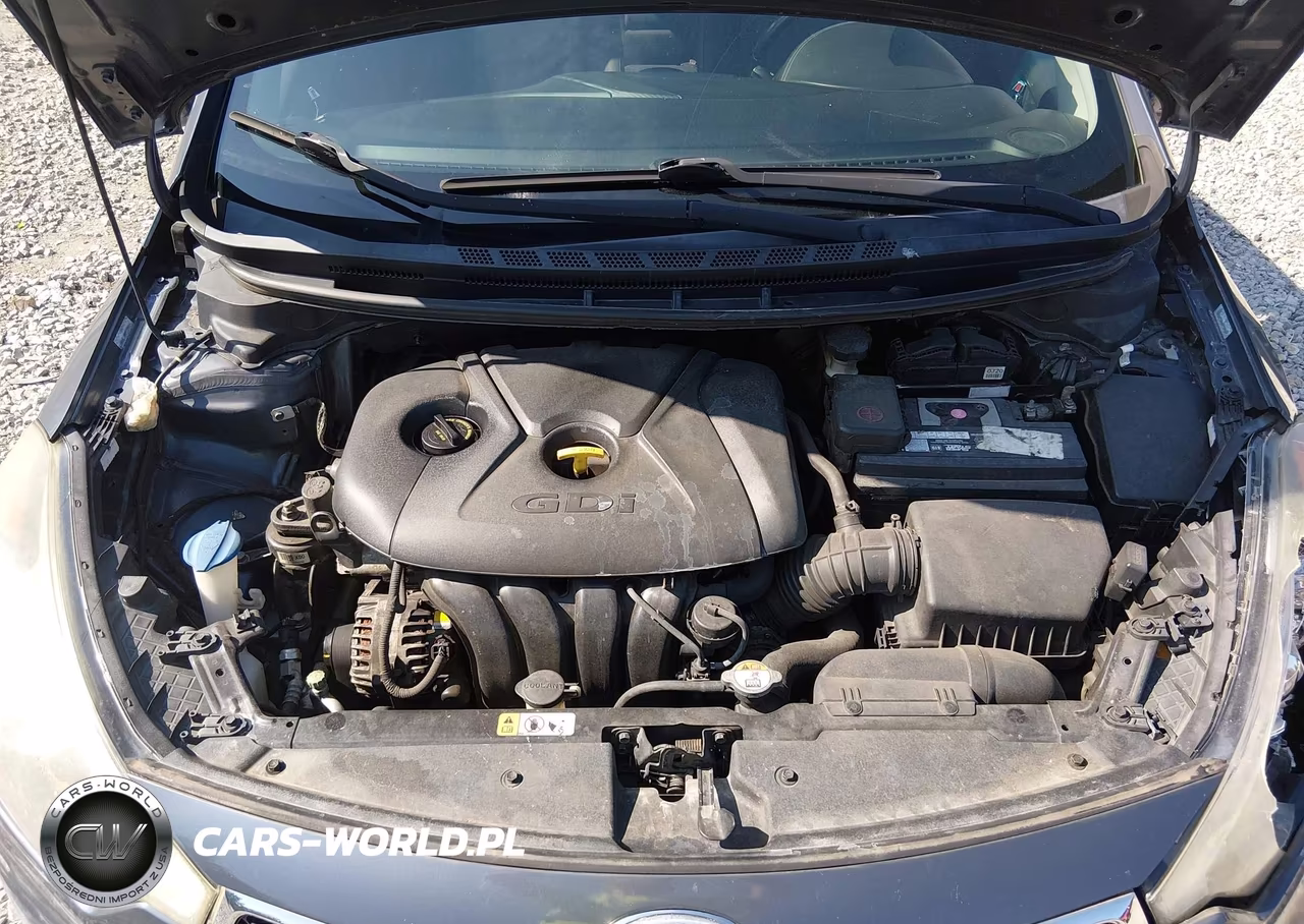 2014 Kia Forte Ex VIN:KNAFX4A81E5106787 - 10