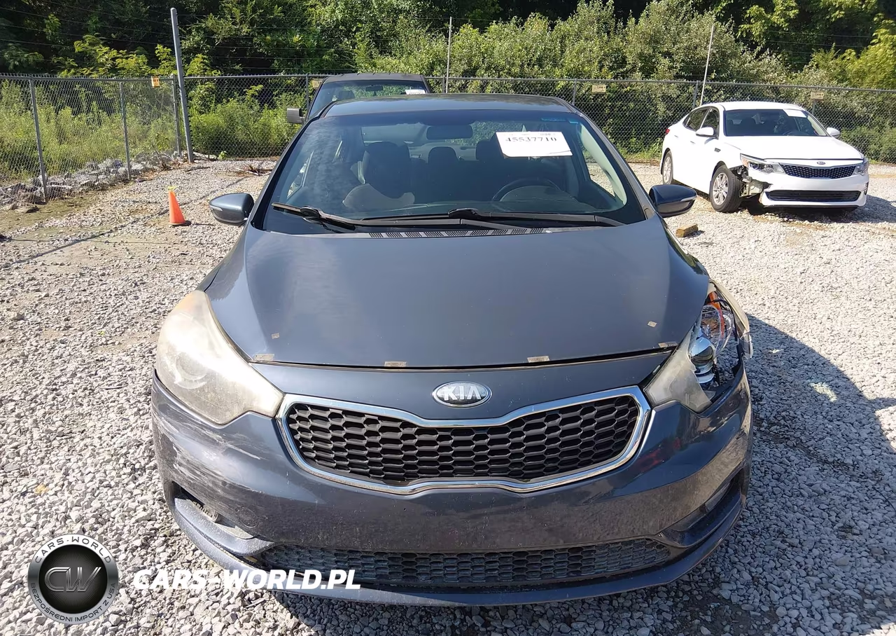 2014 Kia Forte Ex VIN:KNAFX4A81E5106787 - 12