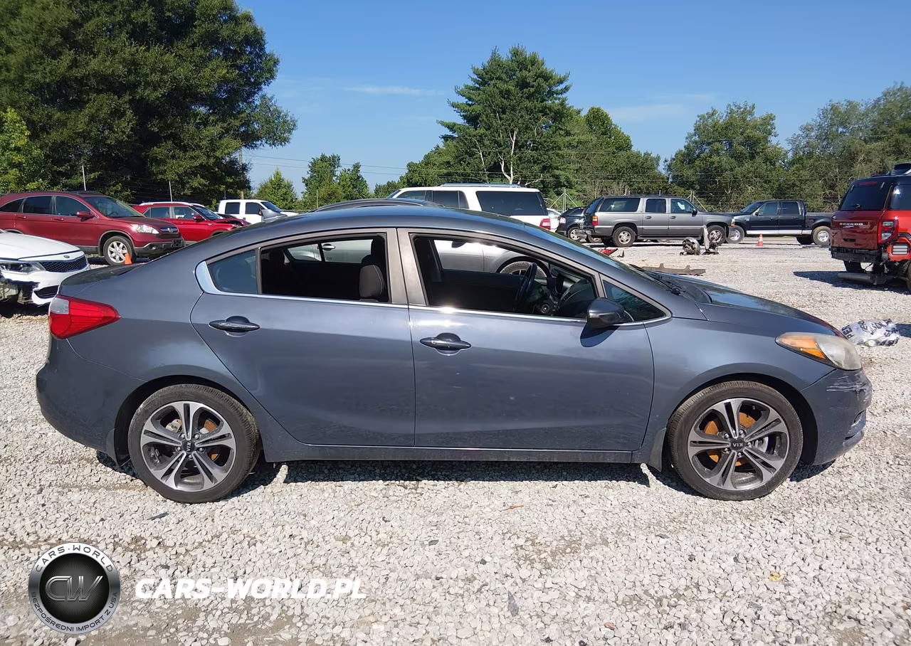 2014 Kia Forte Ex VIN:KNAFX4A81E5106787 - 13