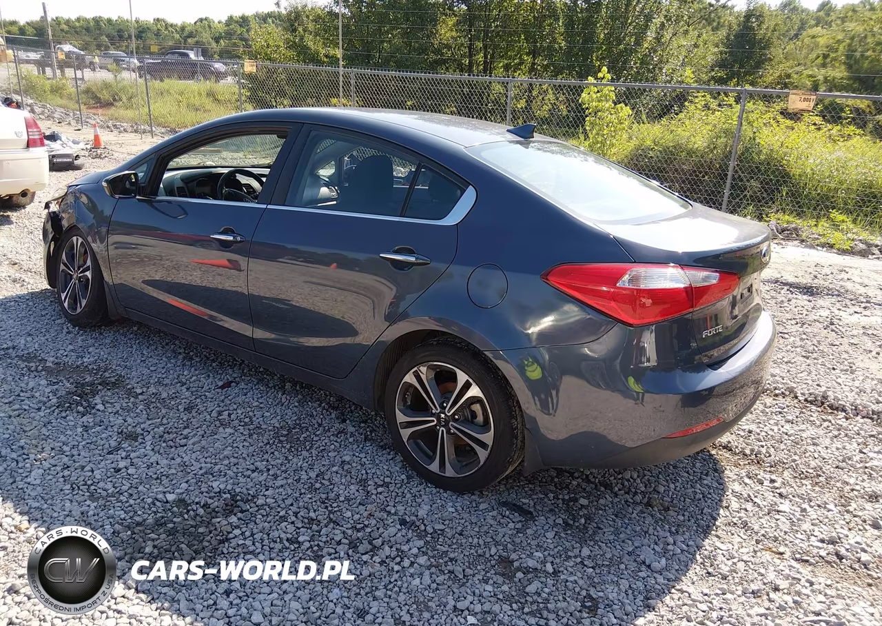 2014 Kia Forte Ex VIN:KNAFX4A81E5106787 - 3