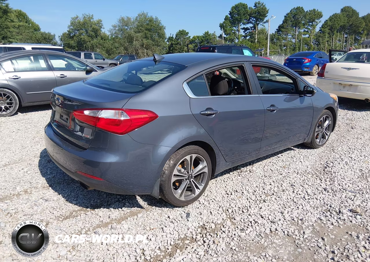 2014 Kia Forte Ex VIN:KNAFX4A81E5106787 - 4