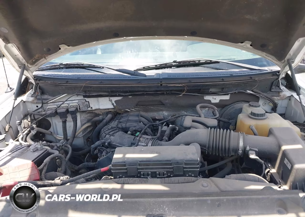 2013 Ford F-150 Stx-Xl-Xlt VIN:1FTMF1CM5DKF49093 - 10