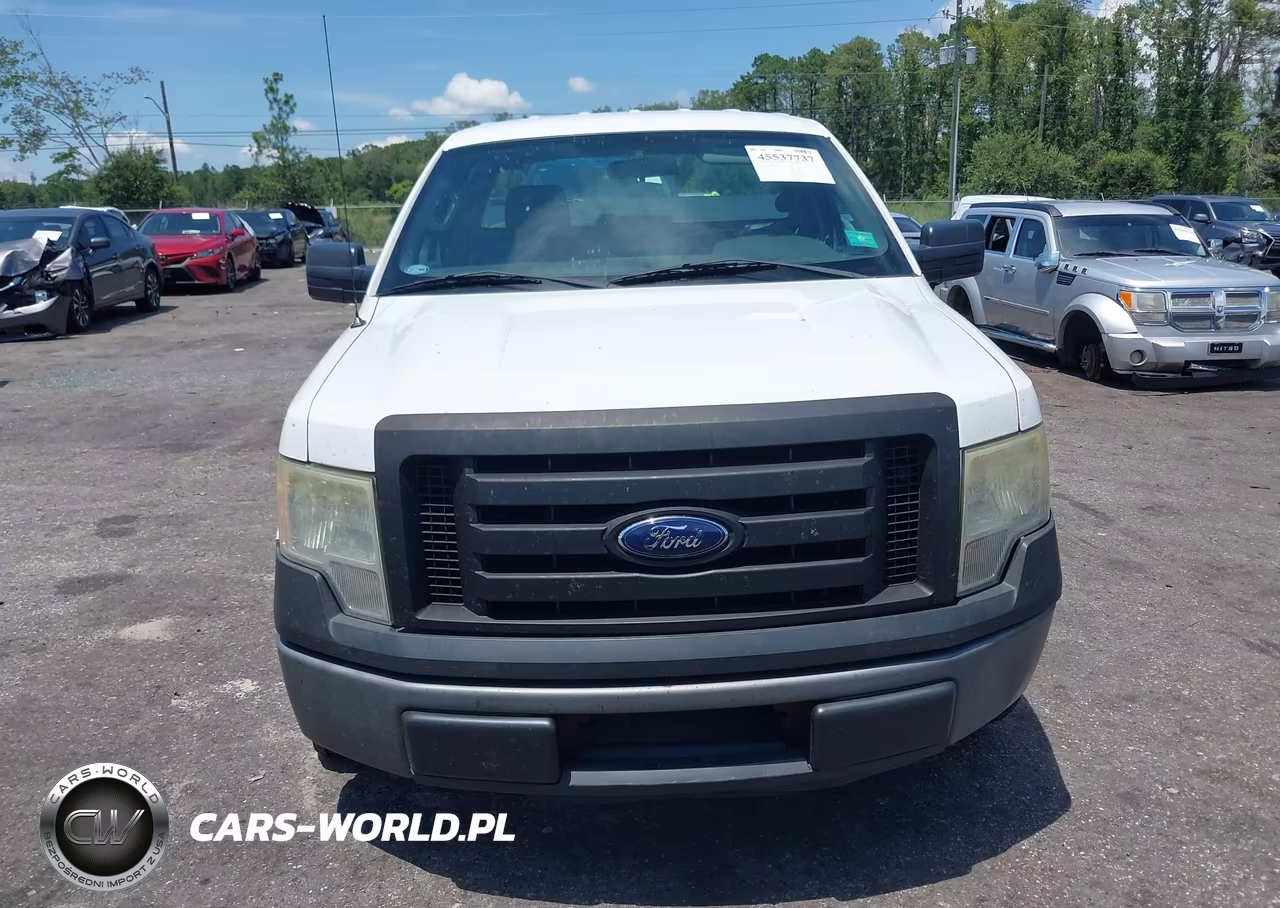 2013 Ford F-150 Stx-Xl-Xlt VIN:1FTMF1CM5DKF49093 - 12