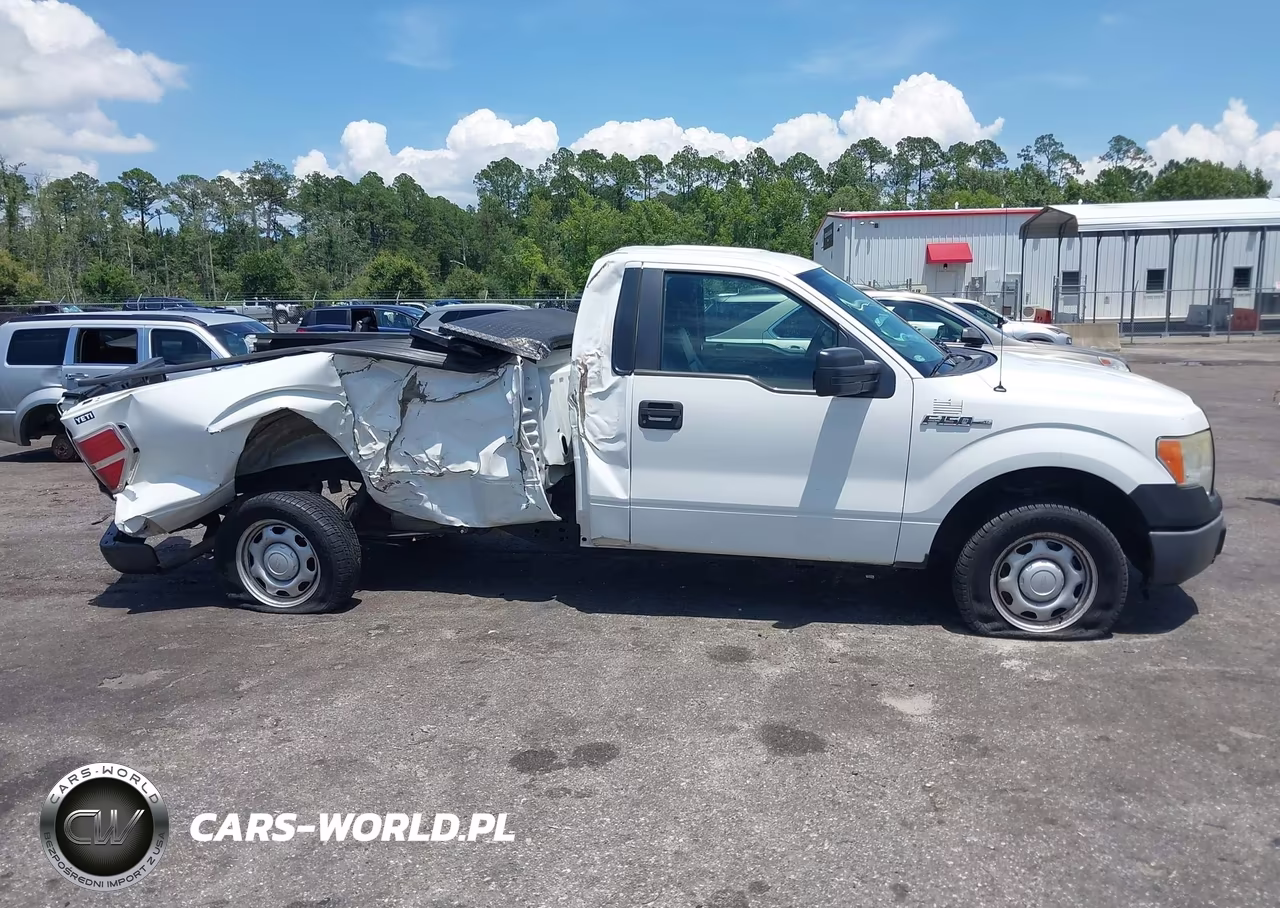 2013 Ford F-150 Stx-Xl-Xlt VIN:1FTMF1CM5DKF49093 - 13