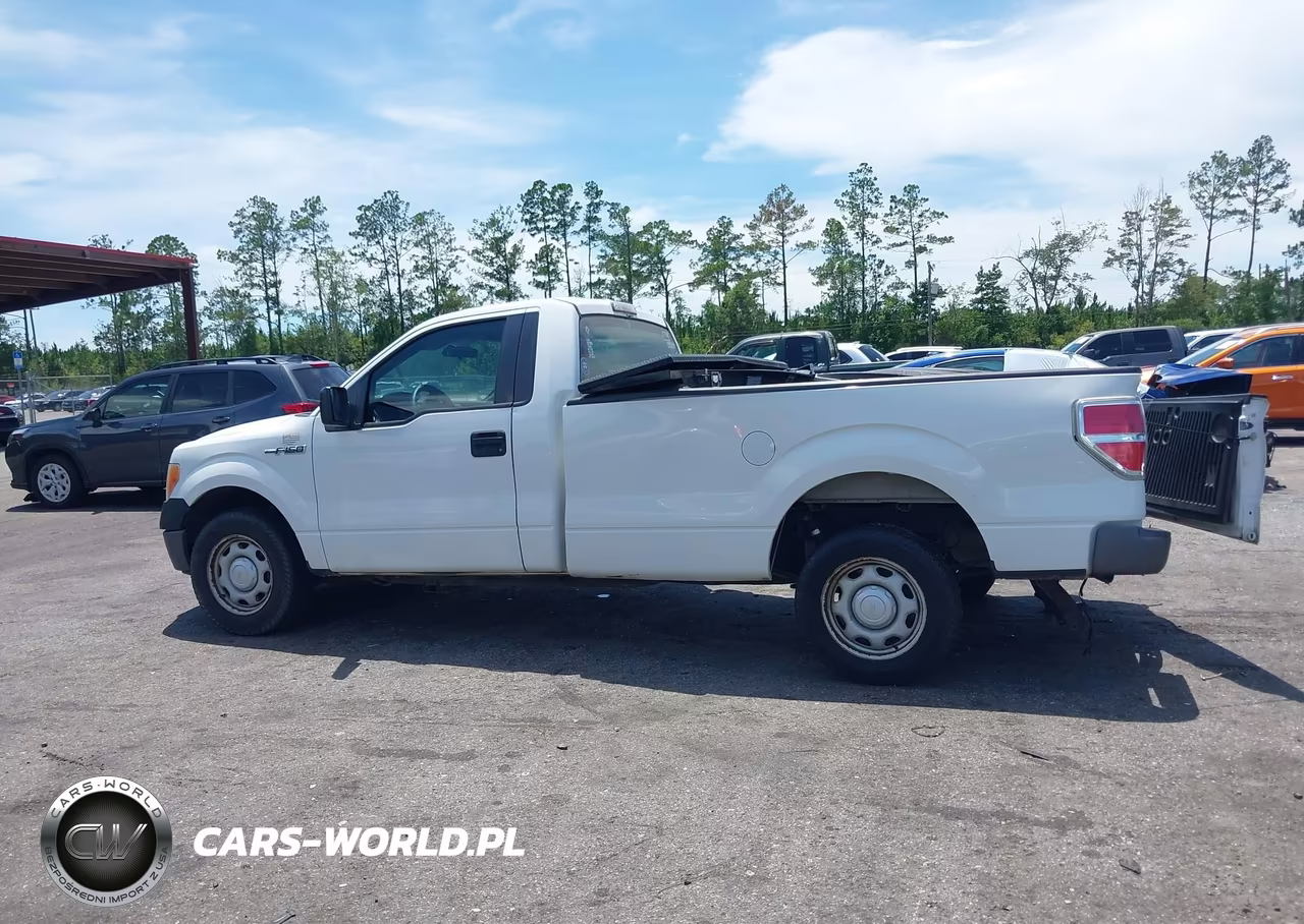 2013 Ford F-150 Stx-Xl-Xlt VIN:1FTMF1CM5DKF49093 - 14